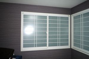 1-P1010742